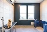 3003 Summer Street - Photo 34