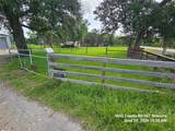 4602 County Road 347 - Photo 3