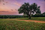 11755 Puddin Ln - Photo 5