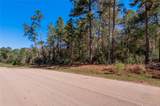 TBD Grassland Court - Photo 10