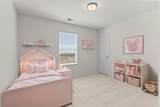 30919 Peck Pass Drive - Photo 29