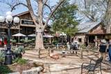 111 Mcphail Street - Photo 43