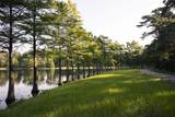 237 Trapper Creek Drive - Photo 34