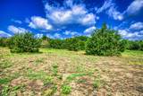 Lot 2 Wonder Hill Road - Photo 7