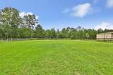 27680 Rio Blanco Drive - Photo 35