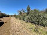 TBD Sycamore Branch Road - Photo 6