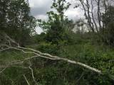 0 Donoho Street - Photo 4