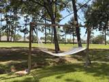 13314 Hilton Head Drive - Photo 18