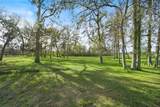 12201 (2.25ac) Fm 2759 Road - Photo 3
