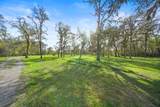 12201 (2.25ac) Fm 2759 Road - Photo 4