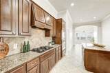21106 Prairie Green Court - Photo 13
