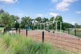 14127 Balcones Fault Court - Photo 40