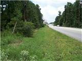 37121 Fm 1774 Road - Photo 5