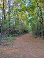 TBD Honeylocust Lane - Photo 4