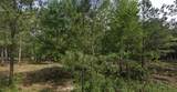 TBD1 Humbird - Photo 4