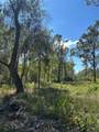 1520 Fm 160 Road - Photo 3