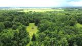 Tract 1 County Road 2065 - Photo 4