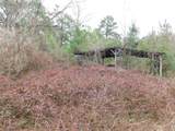 11270 State Highway 190 - Photo 2