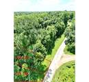 2 County Road 2166 - Photo 2