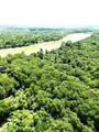 2 County Road 2166 - Photo 6