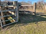9036 County Road 329 - Photo 13