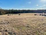 9036 County Road 329 - Photo 16