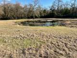9036 County Road 329 - Photo 8