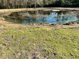 9036 County Road 329 - Photo 9