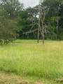 3284 County Road 117 - Photo 1