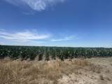 TBD Cr 335 Road - Photo 5