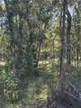 0 Oak Forest Drive - Photo 8