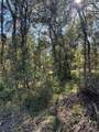 0 Oak Forest Drive - Photo 3