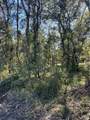0 Oak Forest Drive - Photo 4