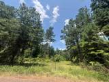 Tract 129/130 Fenley Flat Road - Photo 10
