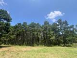 Tract 129/130 Fenley Flat Road - Photo 2