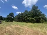 Tract 129/130 Fenley Flat Road - Photo 3