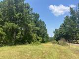 Tract 129/130 Fenley Flat Road - Photo 4