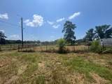 Tract 129/130 Fenley Flat Road - Photo 5