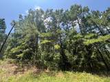 Tract 129/130 Fenley Flat Road - Photo 6