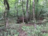 Tract 129/130 Fenley Flat Road - Photo 7