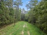 TBD Cottowood Drive - Photo 4