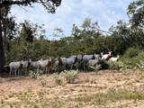 TBD Pr 4173 - Photo 12