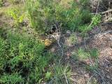 TBD Pr 4173 - Photo 20