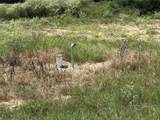 TBD Pr 4173 - Photo 26