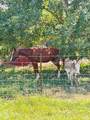 LT 1 24 - Photo 4