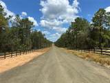 Tract 7B Timberland Branch Dr - Photo 3