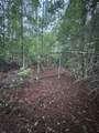 TBD Eucalyptus - Photo 3