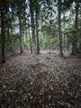 TBD Eucalyptus - Photo 4