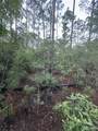 TBD Eucalyptus - Photo 5