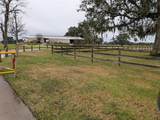 861 Longhorn Trail - Photo 5